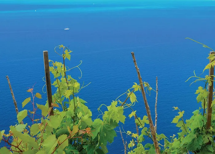 Lovely In Osobljava With Wifi