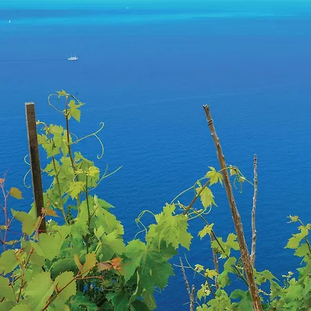 Lovely In Osobljava With Wifi